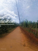 Chính Thức Mở Bán 47 Lô Đất Full Thổ Cư Tại Cư Kuin Cơ Hội Vàng Đầu Tư Sinh Lời Nhanh