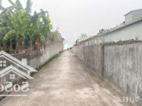 Bán Đất Tại Xã Đông Trà, Tiền Hải. Giá Siêu Hời 700 Triệu, 240 M2/2 Lô. Full Thổ Cư. Thái Bình