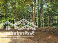 Em Bán Lô Đất Trước Mặt Là Hồ Lạc Sơn, Hoà Bình Tổng Diện Tích 1878M2 (300M2 Thổ Cư Còn Lại Đấ