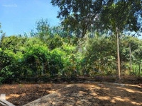 Em Bán Lô Đất Trước Mặt Là Hồ Lạc Sơn, Hoà Bình Tổng Diện Tích 1878M2 (300M2 Thổ Cư Còn Lại Đấ