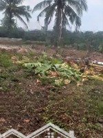 Chính Chủ Cho Thuê Mặt Bằng 2000M2 Tại Khu Phố Hoà Long, Lái Thiêu, Tp Thuận An
