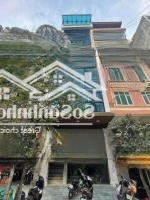 Tòa Building 98M2X8T Thang Máy. Phân Lô, Kinh Doanh - Văn Phòng - Gia Đình Ở Phố Hoàng Quốc Việt.