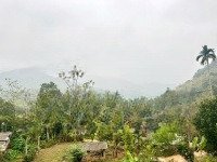 Cần Bán Full Thổ Cư 1658M2 Tại Hợp Tiến, Kim Bôi, Hòa Bình