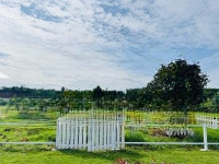 Giảm 300 Tr, Cần Bán Gấp Lô Đất Thổ Cư Tại Tp Bảo Lộc