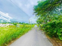 Bán Đất Mặt Tiền Đường Nhựa Diên Lạc 809 Triệu Cạnh Khu Hành Chính Mới Diên Khánh