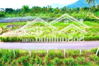 Bán Đất Mặt Tiền Đường Nhựa Diên Lạc 809 Triệu Cạnh Khu Hành Chính Mới Diên Khánh