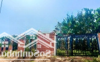 Vườn Trái Cây Sẵn Thổ Cư & Sổ Mỹ Đức, Đạ Huoai, Lâm Đồng: Dt: 6X20M - 35M, Sẵn 100M2 Thổ Cư
