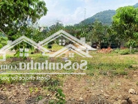 Giá Bán 670 Triệuiệu- 1000M2- Đất Diên Lâm- Diên Khánh-Cách Diên Sơn 5Km- Đường Ô Tô Vào Tận Sân