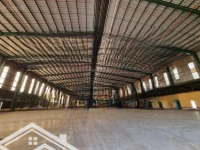 Cho Thuê Kho Xưởng 40.000M2 (Xd: 20.000M2) Giá Tốt Kcn Xuyên Á, Hoàng Gia. Kho Mới, Pccc Tự Động