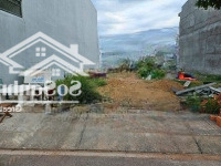 Chính Chủ Bán Gấp Nền Đất 5X12M Kdc Tân Túc, Bình Chánh, Full Thổ Bao Ra Sổ