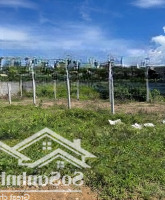 Bán Lô Đất Xã Diên Phước,Khu Dân Cư Đường Oto Cách Đường Chính Thành Hồ 200M