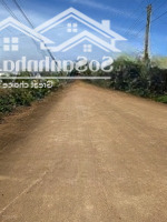 Siêu Phẩm 1000M2 Tặng Nguyên Biệt Thự Siêu Đẹp Tại Trung Tâm Khu Bàn Cờ Xã Liên Hiệp, Chỉ 5,1 Tỷ