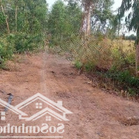 1Ha 10000M2 Đất Vườn Giá Chỉ 3Tỷ800 Không Thể Tin Nhưng Thật Sự Quá Rẻ Mua Đầu Tư Ngay Có Lợi