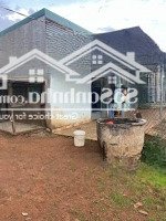 Bán Gấp Np Mặt Phố Phan Đình Phùng, 800 Triệu, 118M2, Lộc Thắng, Bảo Lâm, Lâm Đồng