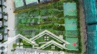 Bán Nhà Phố Kd Góc Đường Vịnh Đảo 24.5 M Tại Central Plaza Eco Park Vinh