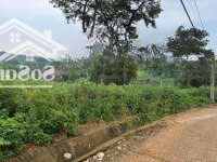 Cần Bán Lô Đất Nghỉ Dưỡng Giáp Rừng Thông, View Rất Đẹp Tại Xã Ba Vì, Ba Vì, Hà Nội
