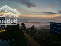 Bán Trang Trại Tại Đường Phạm Hồng Thái, Bảo Lộc, Lâm Đồng, Giá Cực Chất 125 Tỷ, 62000M2