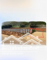 Bán Trang Trại Tại Đường Phạm Hồng Thái, Bảo Lộc, Lâm Đồng, Giá Cực Chất 125 Tỷ, 62000M2