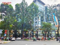Cho Thuê Tòa Nhà Văn Phòng Địa Chỉ 2-2A Tôn Thất Tùng Phường Bến Thành Quận 1.