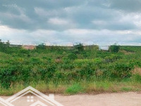 Bán Đất 24X37M (756M2), Qh Full Thổ Cư