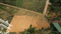 Chào Bán 6 Lô F0 Thạch Quảng - Thạch Thành, Đất Trung Tâm Xã, Quy Hoạch Mở Đường 7M, Giá Chỉ 260 Triệu