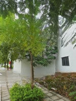 Liền Kề 100M2 Giá Rẻ Tại Kđt Lê Trọng Tấn, Dương Nội, Hà Đông