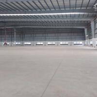 Cho thuê kho 5000m2-15000m2 KCN Giang Điền, Đồng Nai