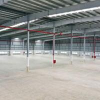 Cho thuê kho 5000m2-15000m2 KCN Giang Điền, Đồng Nai