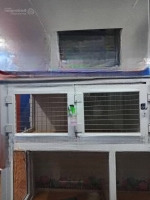 Bán Nhà Mặt Phố Kim Mã 50M-5Tang-23,2 Tỷ Giao Giang Văn Minh Quận Ba Đình