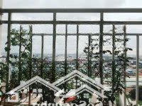 Bán Căn Hộ Charm Plaza, 1,55 Tỷ, 60M2, 2 Phòng Ngủ 1 Vệ Sinh Tân Đông Hiệp, Dĩ An, Bình Dương