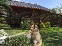 Bán Bđs Đất Biệt Thự Đẹp Tại Ngọc Thanh, Phúc Yên, Vĩnh Phúc, 23 Tỷ, 325M2