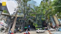 Bán Tòa Ngay Bến Thành Ngay Mặt Tiền Tôn Thất Tùng Quận 1 (8X25M) 7 Tầng Hđt: 300 Triệu/Tháng Giá Bán 90 Tỷ