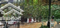 Mặt Bằng Kinh Doanh Đỉnh Đặng Dung 300M2 X 3T,Mặt Tiền13M, Vị Trí Vàng Ba Đình. Giá Tốt