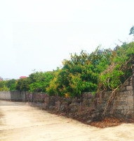 Bán Đất 2072M Tdp Mịn To Trù Hựu Thị Xã Chũ Bắc Giang 0982188151