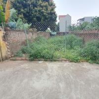 Bán đất Đan Phượng | đường Quán La, xã Phương Đình mặt ngõ ô tô, 113m2 mặt tiền 5m giá 46 triệu / m2