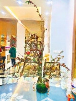 Bán Nhà Ngõ 269 Thanh Nhàn,Diện Tích67/75M, 6 Tầng Mới,Mặt Tiền7M, Giá Bán 23 Tỷ, Ôtô Đỗ Cửa.