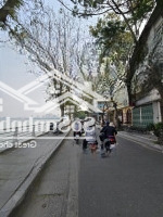 Mặt Phố Trích Sài, View Hồ Tây Đắc Địa, Vỉa Hè Đá Bóng, 186M 4 Tầng 2 Thoáng Chỉ 97 Tỷ.