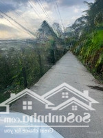 Bán 1165M2 Đất Lúa Đường Oto Thuộc Xã Vĩnh Công , Châu Thành , Long An _ Diện Tích : 18 X 65M2.