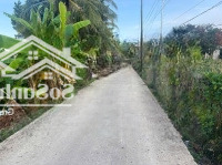 Bán 1165M2 Đất Lúa Đường Oto Thuộc Xã Vĩnh Công , Châu Thành , Long An _ Diện Tích : 18 X 65M2.