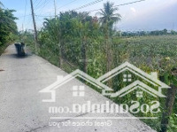 Bán 1165M2 Đất Lúa Đường Oto Thuộc Xã Vĩnh Công , Châu Thành , Long An _ Diện Tích : 18 X 65M2.