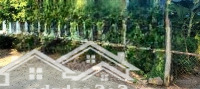Bán Nhà Vườn Sinh Thái Có Suối Sau Nhà Ô Tô Vào Tận Nơi. Liên Hệ Ngay 0905257686