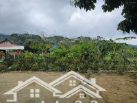 Bán Nhà Vườn Sinh Thái Có Suối Sau Nhà Ô Tô Vào Tận Nơi. Liên Hệ Ngay 0905257686