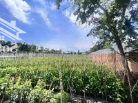 Bán 2000M2 Đất Trung Tâm Khu Bàn Cờ Xã Liên Hiệp,Diện Tích20X100 Có 400M2 Thổ Cư Giá Bán 10 Tỷ