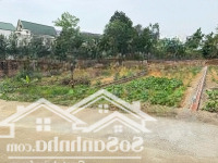 Bác Nào Tìm Đất Đầu Tư Tại Láng Hòa Lạc Thì Xem Luôn Lô Này 100M2 Full Thổ Cư