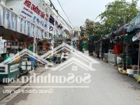 Gà Đẻ Trứng Vàng Chung Cư Mini Kim Chung Đông Anh Đối Diện Khu Công Nghiệp Bắc Thong Long
