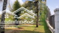 Biệt Thự View Sông Sống Xanh Cùng Vinhomes Grand Park Diện Tích Lớn 321M Đơn Lập