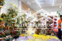 Bán Nhà Mặt Phố Đặng Tiến Đông 60M2 7 Tầng Kinh Doanh Đỉnh Sổ Đẹp Không Quy Hoạch View Công Viên