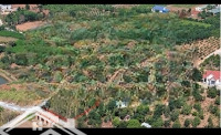 570 Triệu Có Vườn Cây Trái , View Hồ Sen , Kế Homestay , Gần Tiện Ích Tại Vùng Ven Đà Lạt