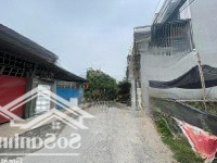 Hàng Đẹp Ngõ 40 Cái Tắt An Đồng An Dương