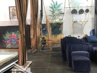 Bán Nhà Thảo Điền - Dt: 7X14M - Kinh Doanh Spa- Hđ Thuê 50 Triệu/Th
